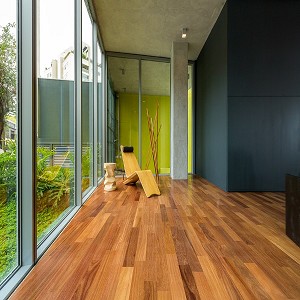 Brazilian Teak